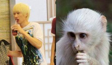 “Weird” things that Kpop fans often do