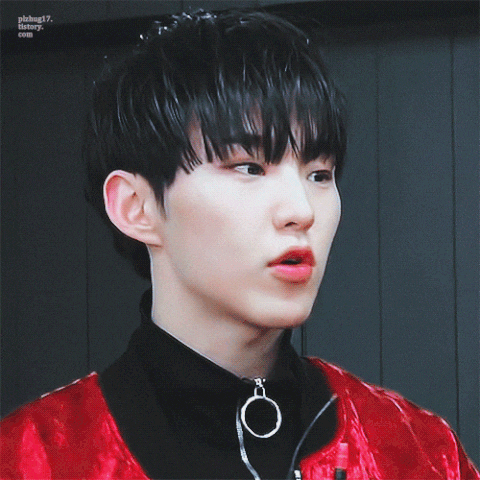 Pledis Seventeen 1