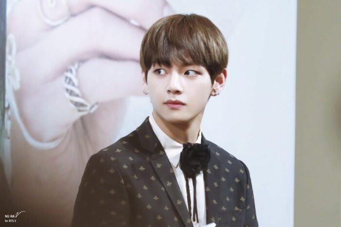 4 idols nicknamed "Human Brand-name items"