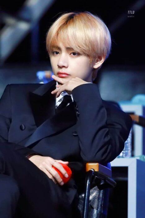 Fansite TAETAELAND V 1 683x1024