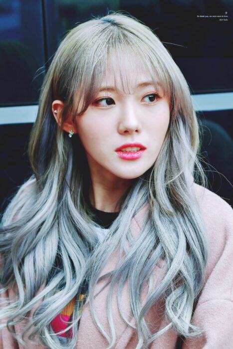 luda 1551951560942922559186 683x1024