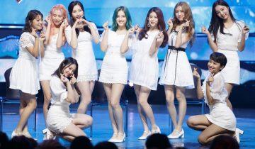 momoland 467311340048314 scaled 1