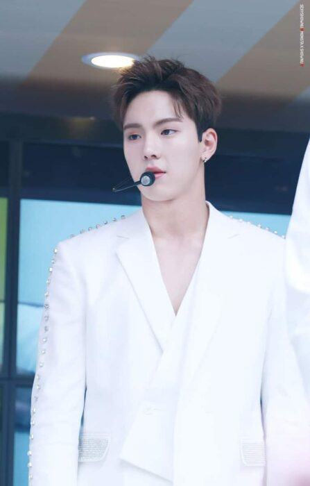 1991idolarmy9 654x1024