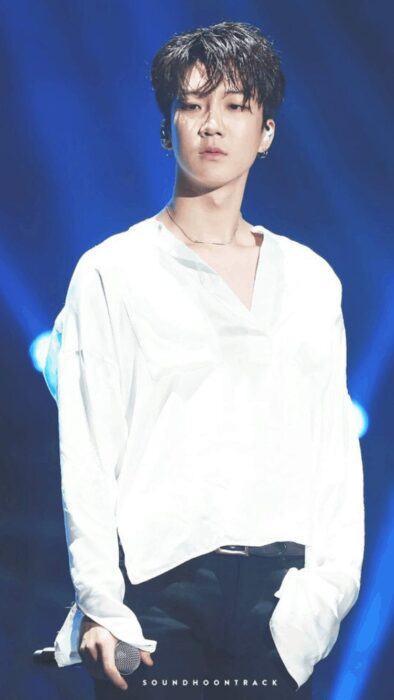 1991idolarmy6 576x1024 1