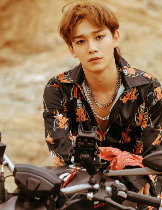 1991idolarmy4 791x1024