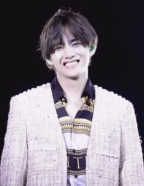 Fans said that, whether he was the adorable teenage boy Taehyung…