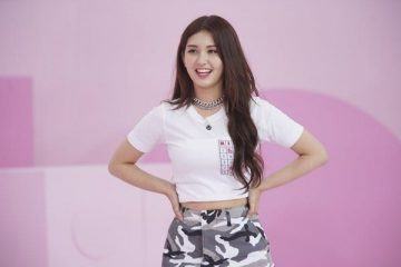 somi55586 scaled 1