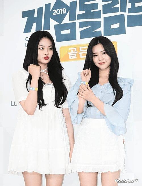 A K-Pop beauty is criticized for her revealing outfit