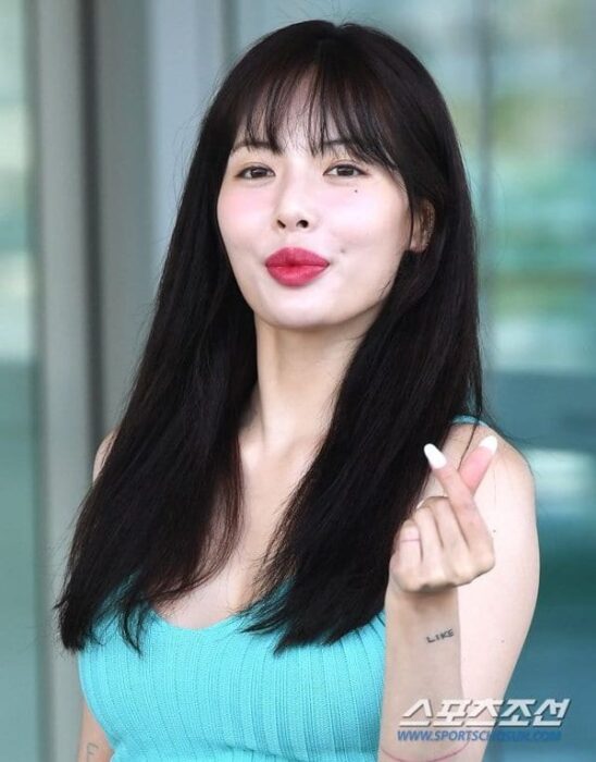 hyunalipfiller3