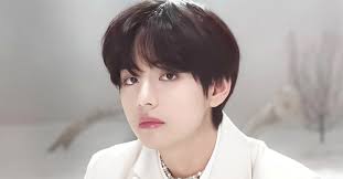 V BTS 89696t978423y97rt2g9i