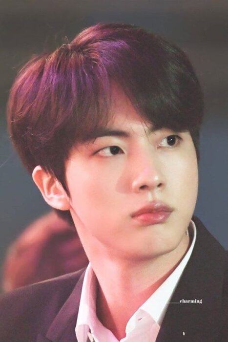Jin (BTS) is the only Asian in the list of the world's perfect faces based on scientific analysis