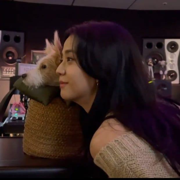 Hank - Rosé's new puppy1