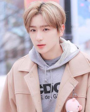 The Boyz Hyunjae was caught disparaging Hyeri (Reply 1988) by netizens