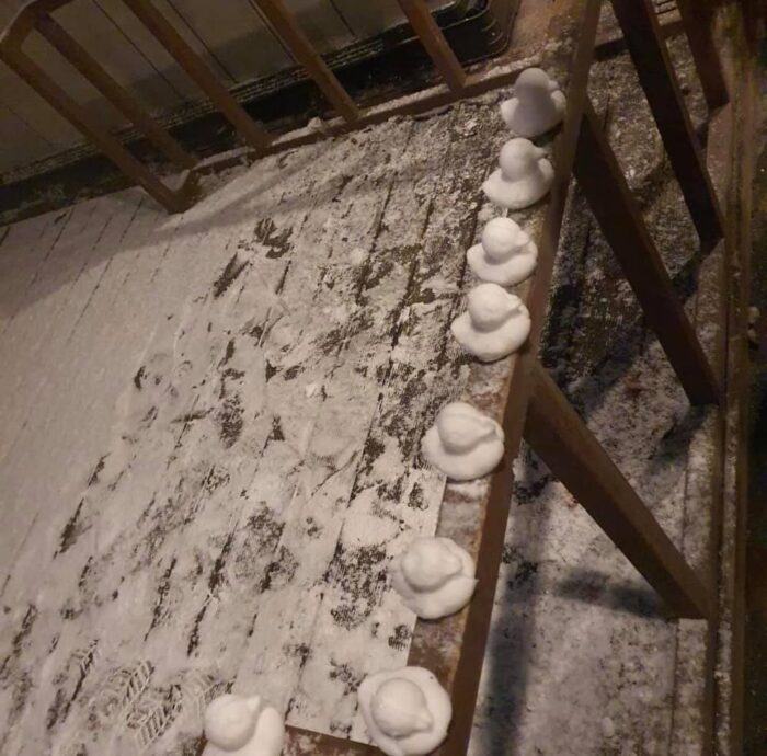 Many idols take photos under the snow