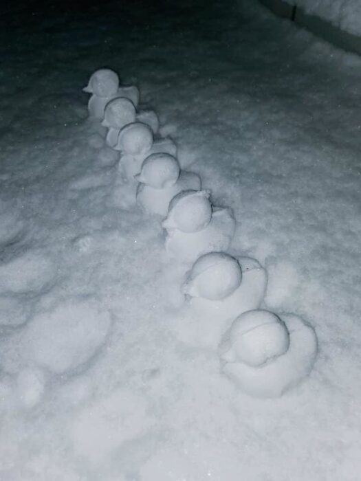 Many idols take photos under the snow