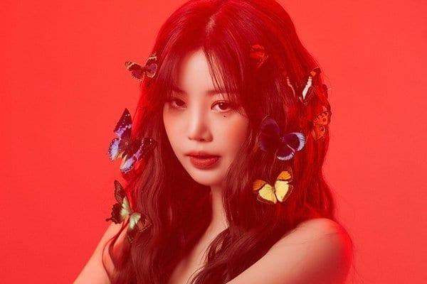 Seo Shin Ae responded after being attacked by Soojin’s fans