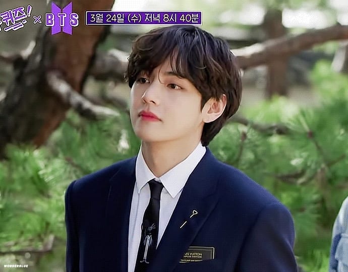 Fans are crazy about the visual of V (BTS) on the variety show