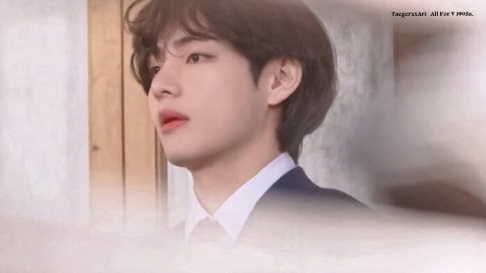 Fans are crazy about the visual of V (BTS) on the variety show