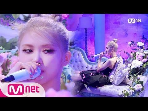 rose m countdown 126784
