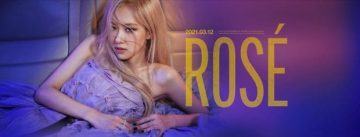 rose poster 16146120388221547994805