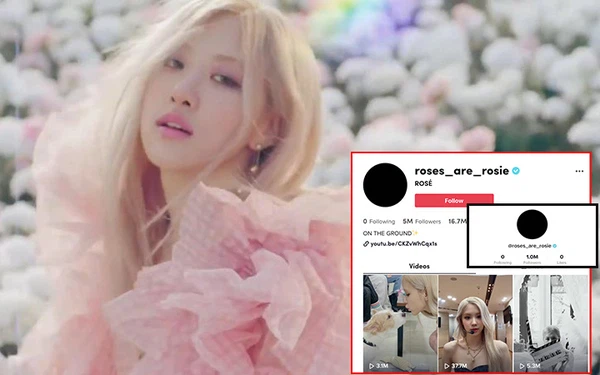 BlackPink rose tiktok