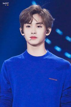 winwin nct 279798028 scaled 1