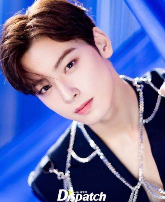 Dispatch picks the 8 best male visual center idols