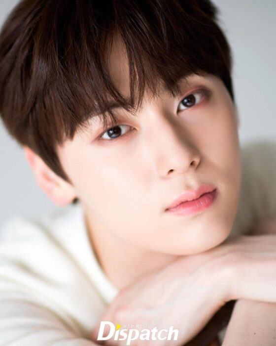 Dispatch picks the 8 best male visual center idols