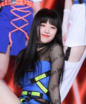 jiwon cignature 279476970