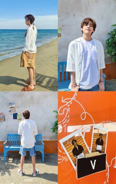 V BTS 85927237293 scaled 1