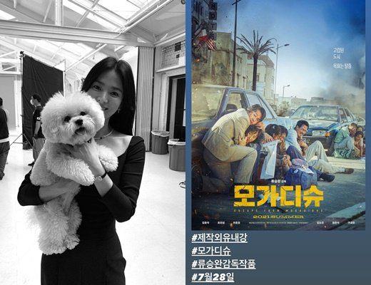 Song Hye Kyo 6856286323