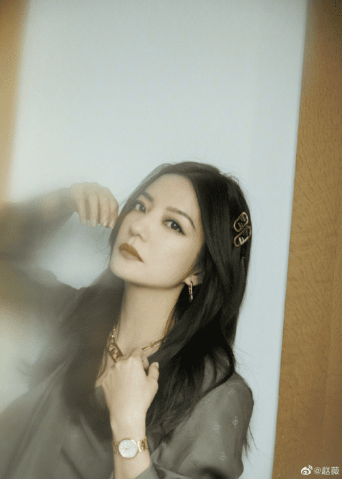 zhao wei scandal e38098080289083080394