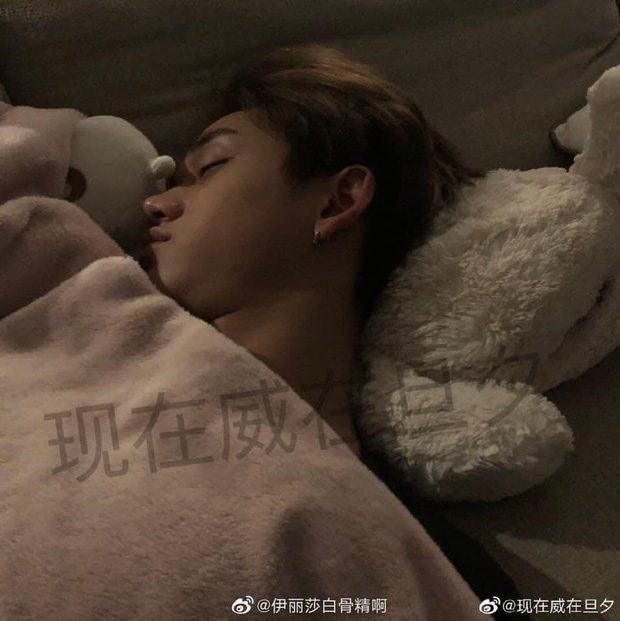 lucas nct 3983768279138