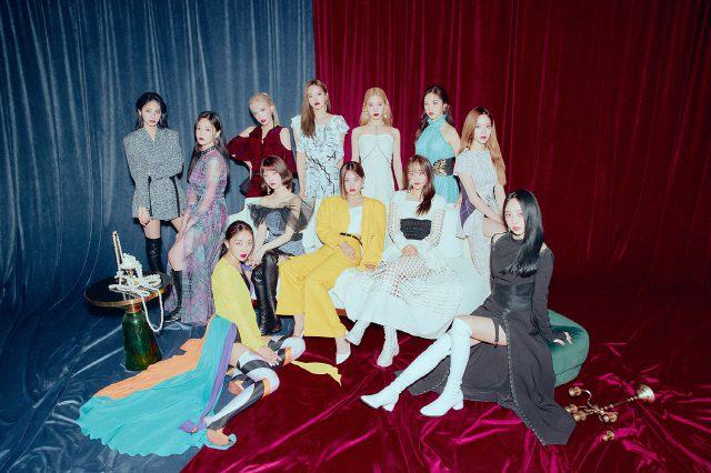 Loona 8562103 2