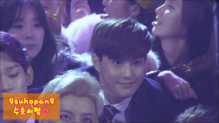 Worst types of Kpop fan that people cannot stand