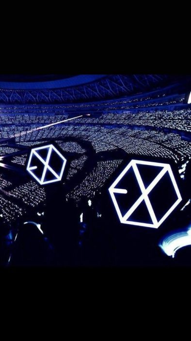 exo l exo 3908080380 39 03 scaled 1