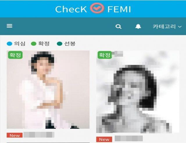 feminist checking website