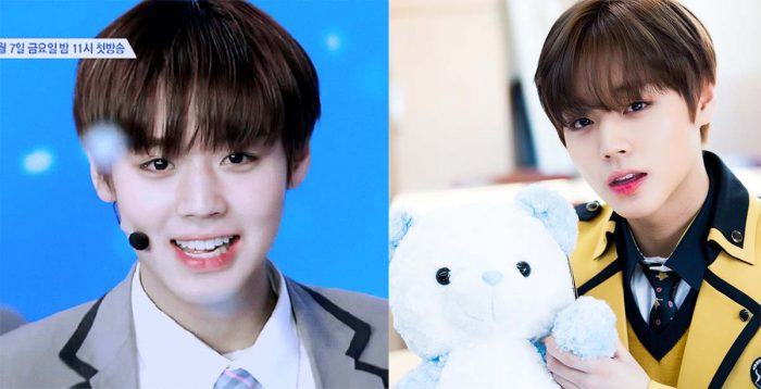 park ji hoon wanna one scandal 293092039 18n8di0n8db08b scaled 1