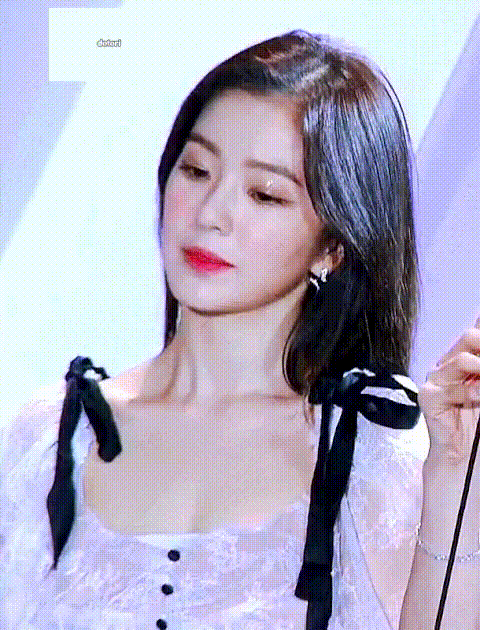 A netizen compared the visual of Hyo Yeon (Girls Generation) to Irene (Red Velvet), causing controversy