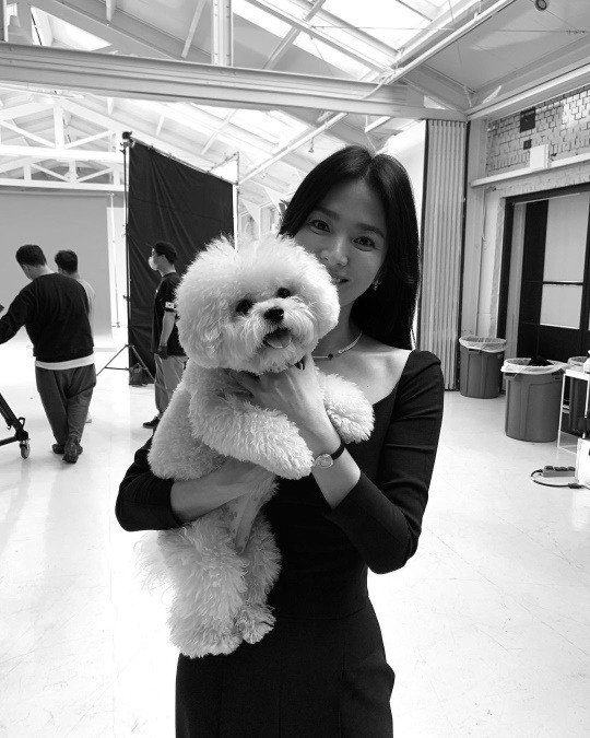 song hye kyo food truck 3 1