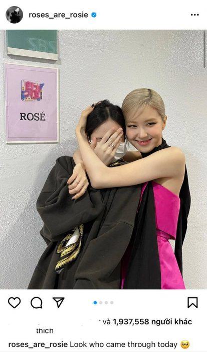 rosé lisa