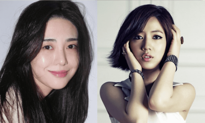 aoa mina t-ara hwayoung