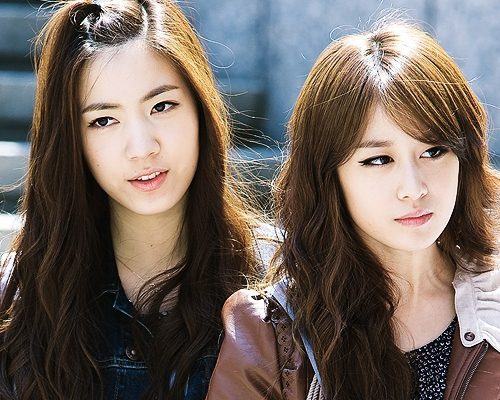 aoa mina t-ara hwayoung