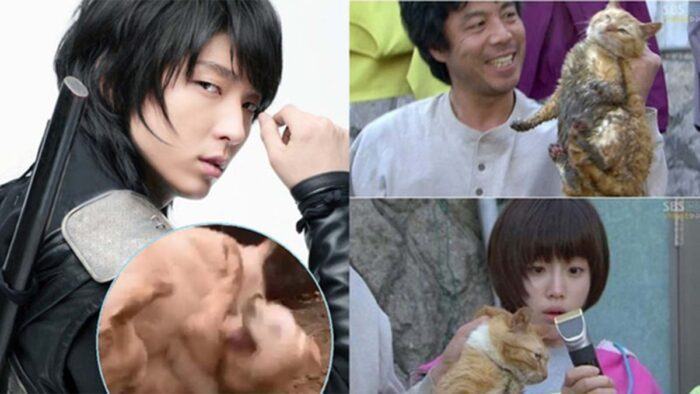 korean drama animal abuse 18092021 1 scaled 1