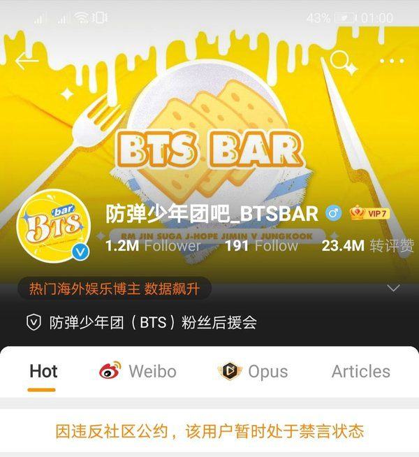 Chinese fanbars 