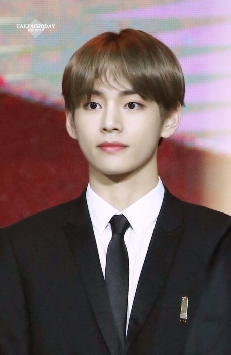 bts v 28308029830809890232 scaled 1