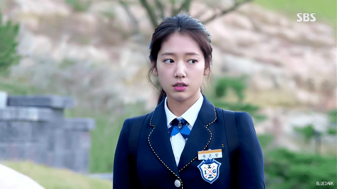 Park Shin Hye
