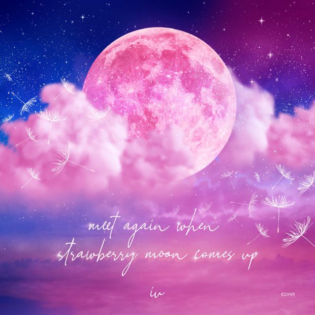 blackpink rose iu
