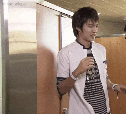 lee min ho