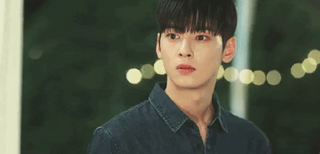 cha eun woo